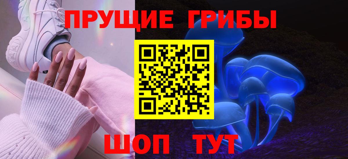 Галлюциногенные грибы Cubensis Грозный