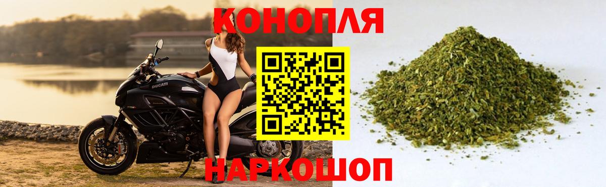 Бошки Шишки конопля  Канабис план  Шишки марихуана THC 21%  Марихуана ГИДРОПОН  Грозный  Вход с VPN 